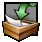 dropbox icon
